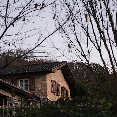 Casa Lavanda Boutique Ağva