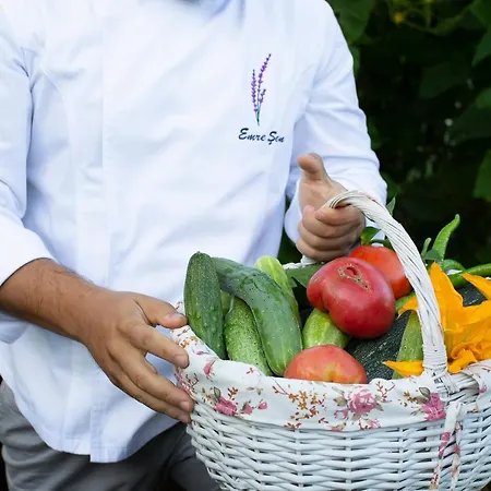 Casa Lavanda Boutique