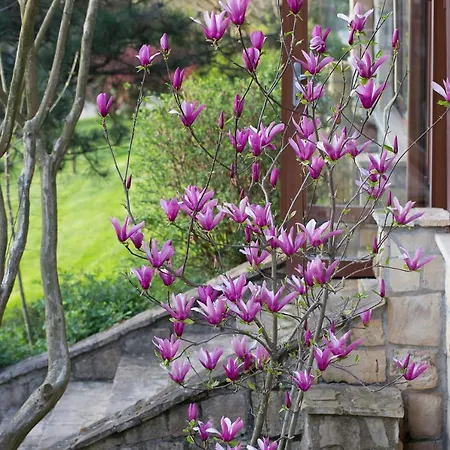 Casa Lavanda Boutique Otel